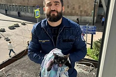 Спасатели достали кошечку с козырька здания в Северном Тушине